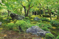 南禅寺本坊